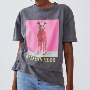 ZARA Graphic T-Shirt- Iggy Joey - Size Small